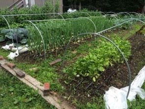 Outside garden